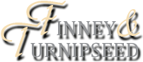 Finney & Turnipseed Transportation & Civil Engineering, L.L.C.
